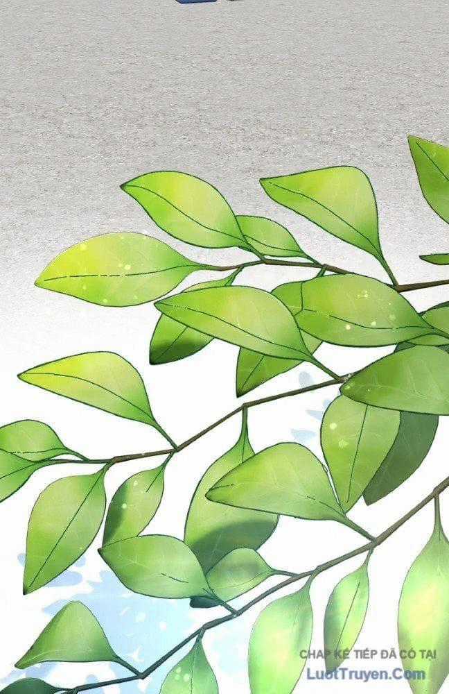 Quý Tộc Báo Thù - Chapter 43 - Trang 2