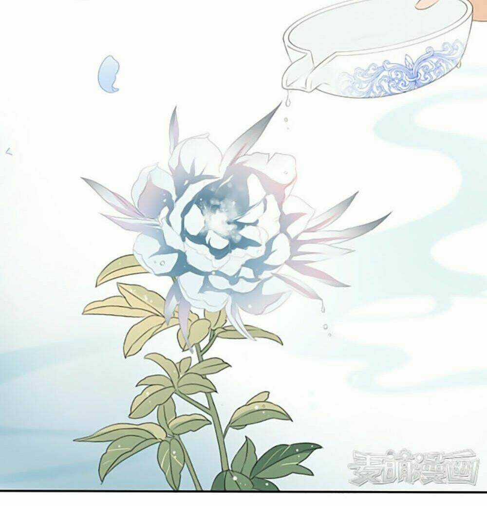 Quy Tự Dao - Chapter 17 - Trang 17