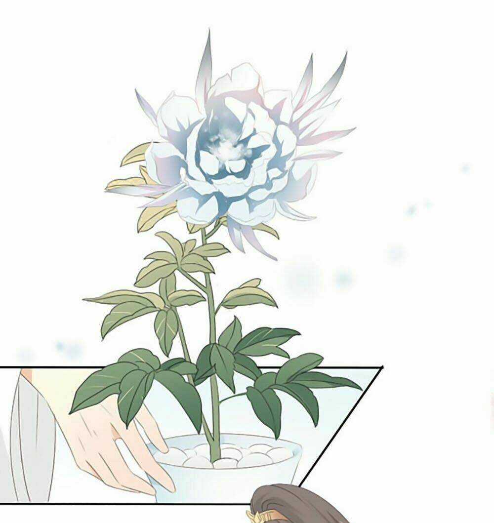 Quy Tự Dao - Chapter 17 - Trang 4