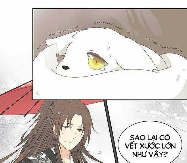 Quy Tự Dao - Chapter 41 - Trang 14