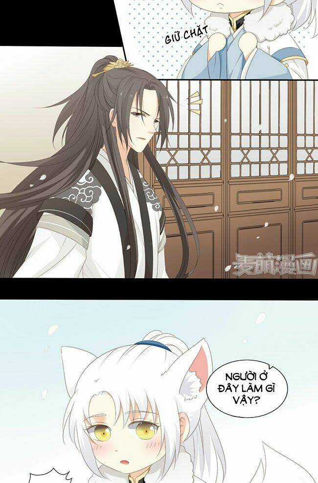 Quy Tự Dao - Chapter 41 - Trang 21