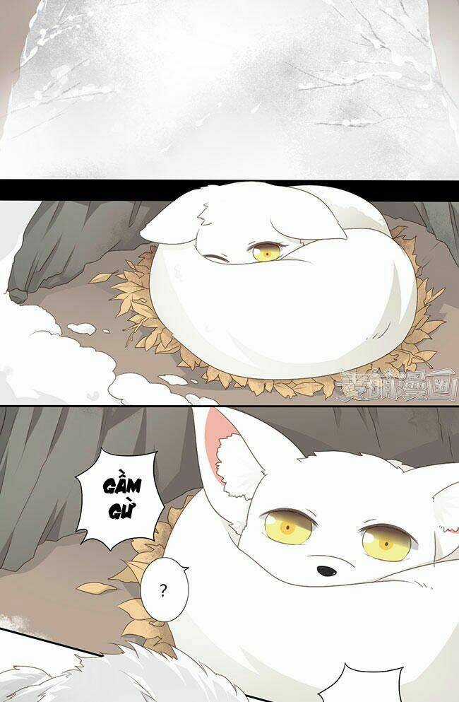 Quy Tự Dao - Chapter 41 - Trang 5