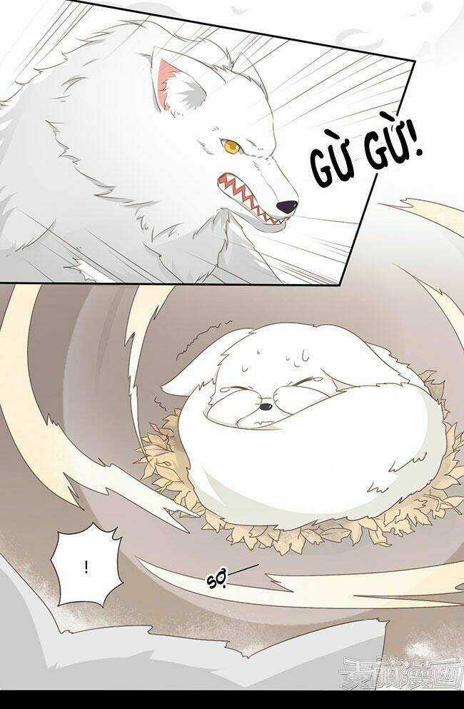 Quy Tự Dao - Chapter 41 - Trang 7