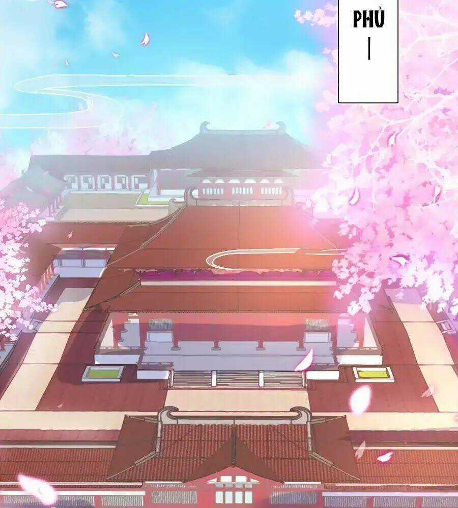 Quyền Phi Chi Đế Y Phong Hoa - Chapter 13 - Trang 2