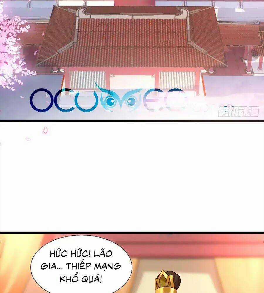 Quyền Phi Chi Đế Y Phong Hoa - Chapter 13 - Trang 3