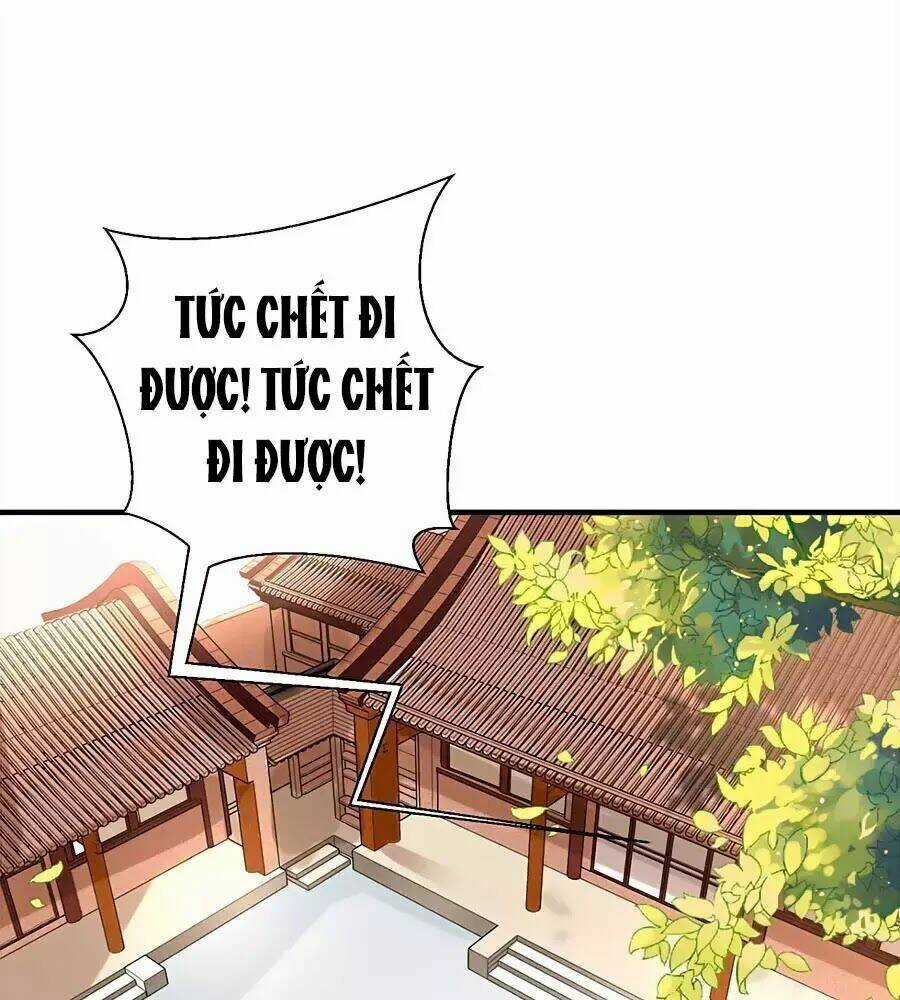 Quyền Phi Chi Đế Y Phong Hoa - Chapter 4 - Trang 4