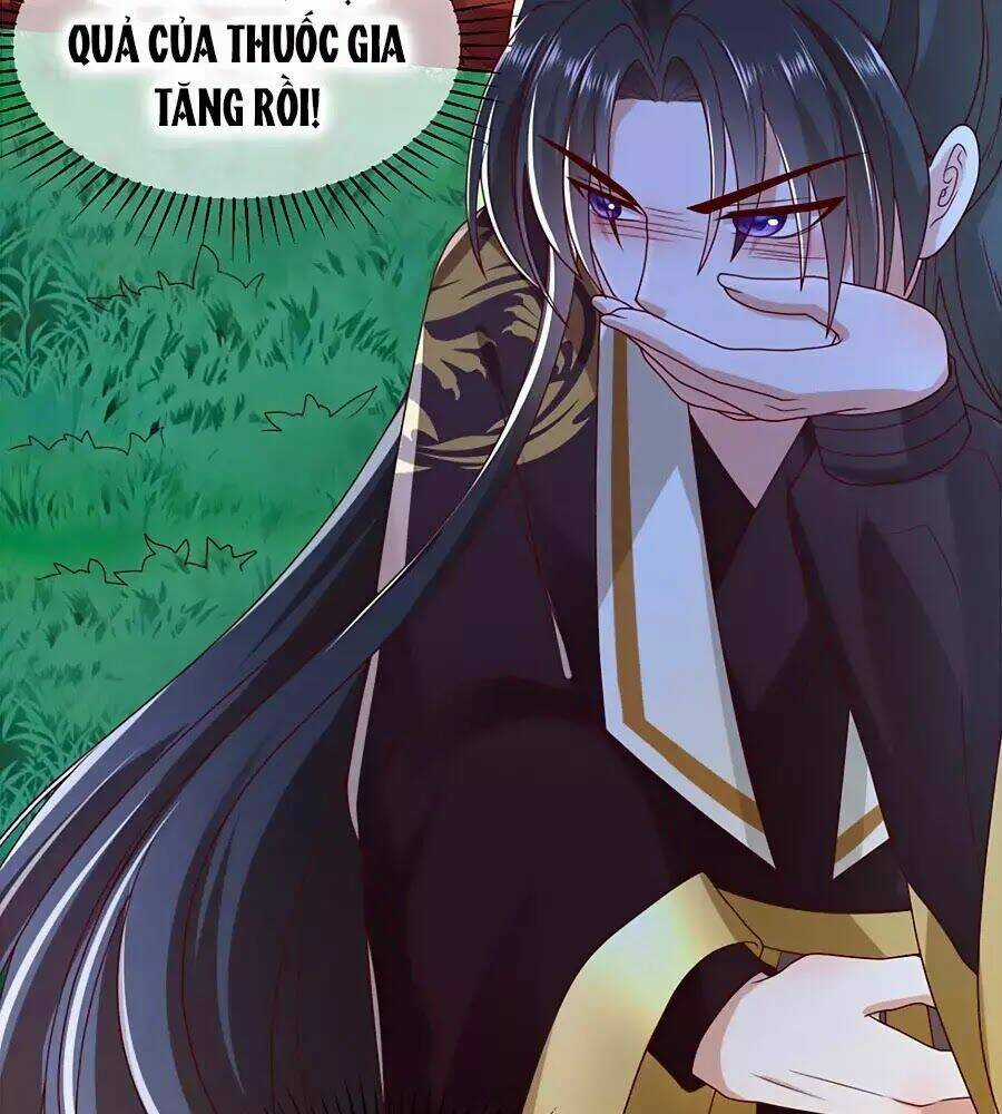 Quyền Phi Chi Đế Y Phong Hoa - Chapter 5 - Trang 12