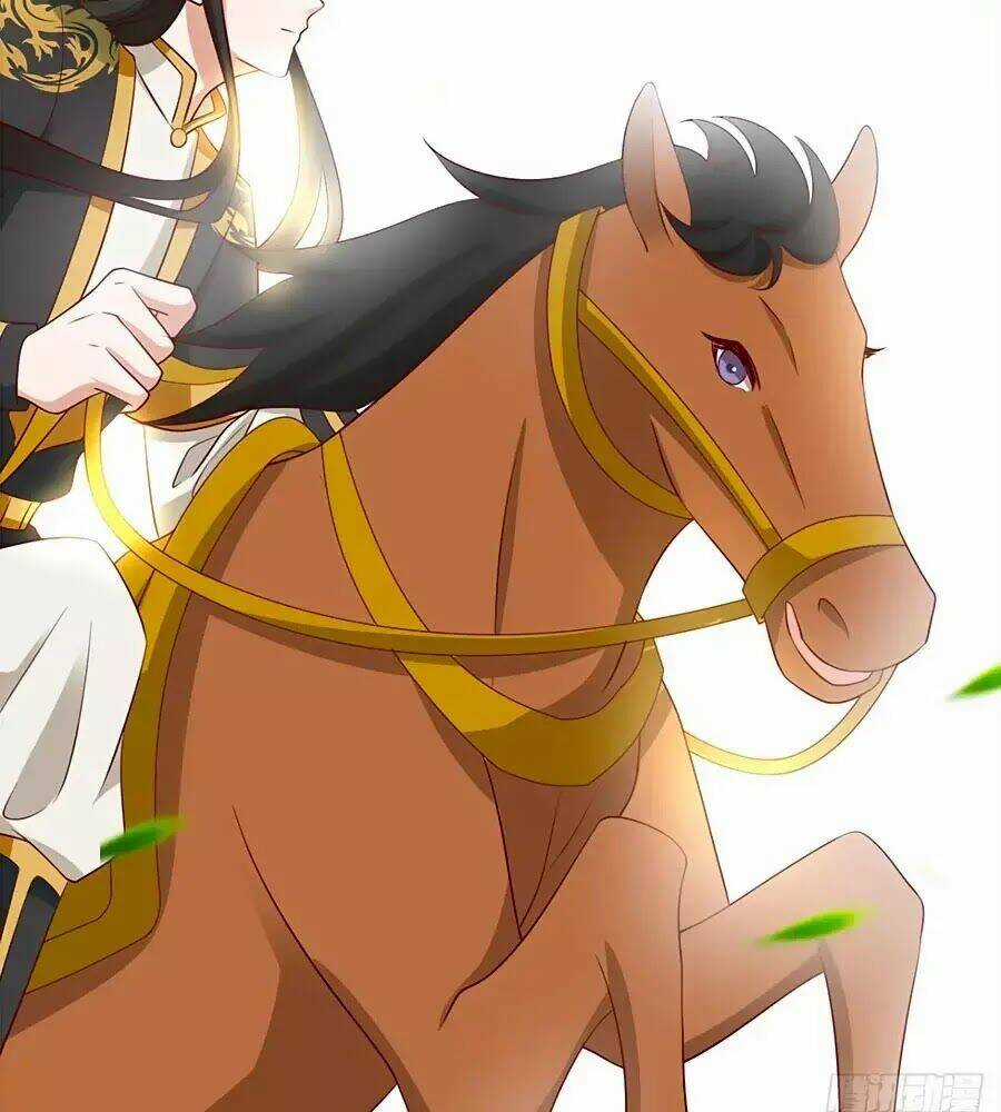 Quyền Phi Chi Đế Y Phong Hoa - Chapter 9 - Trang 38