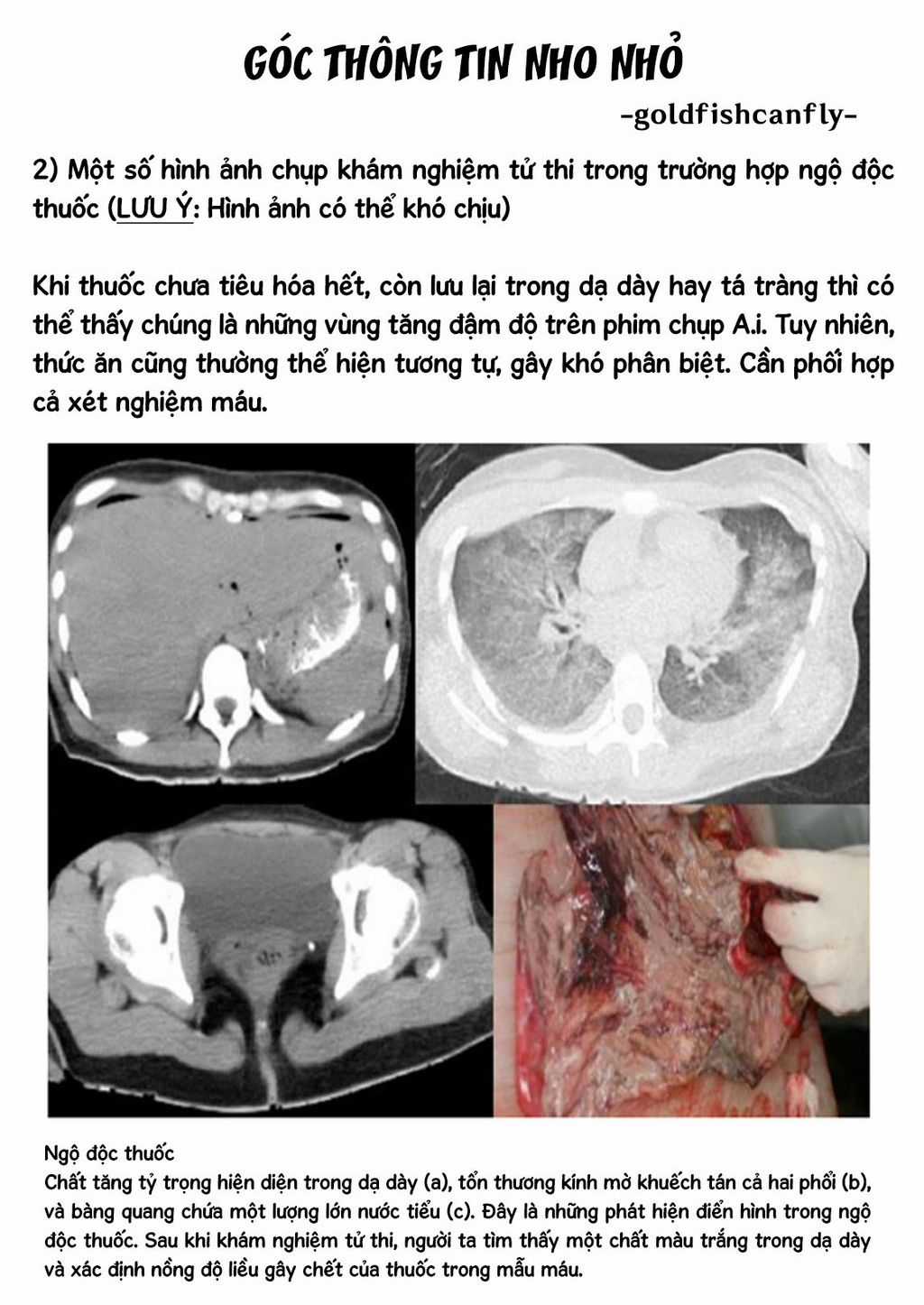 Radiation House - Chapter 104 - Trang 27