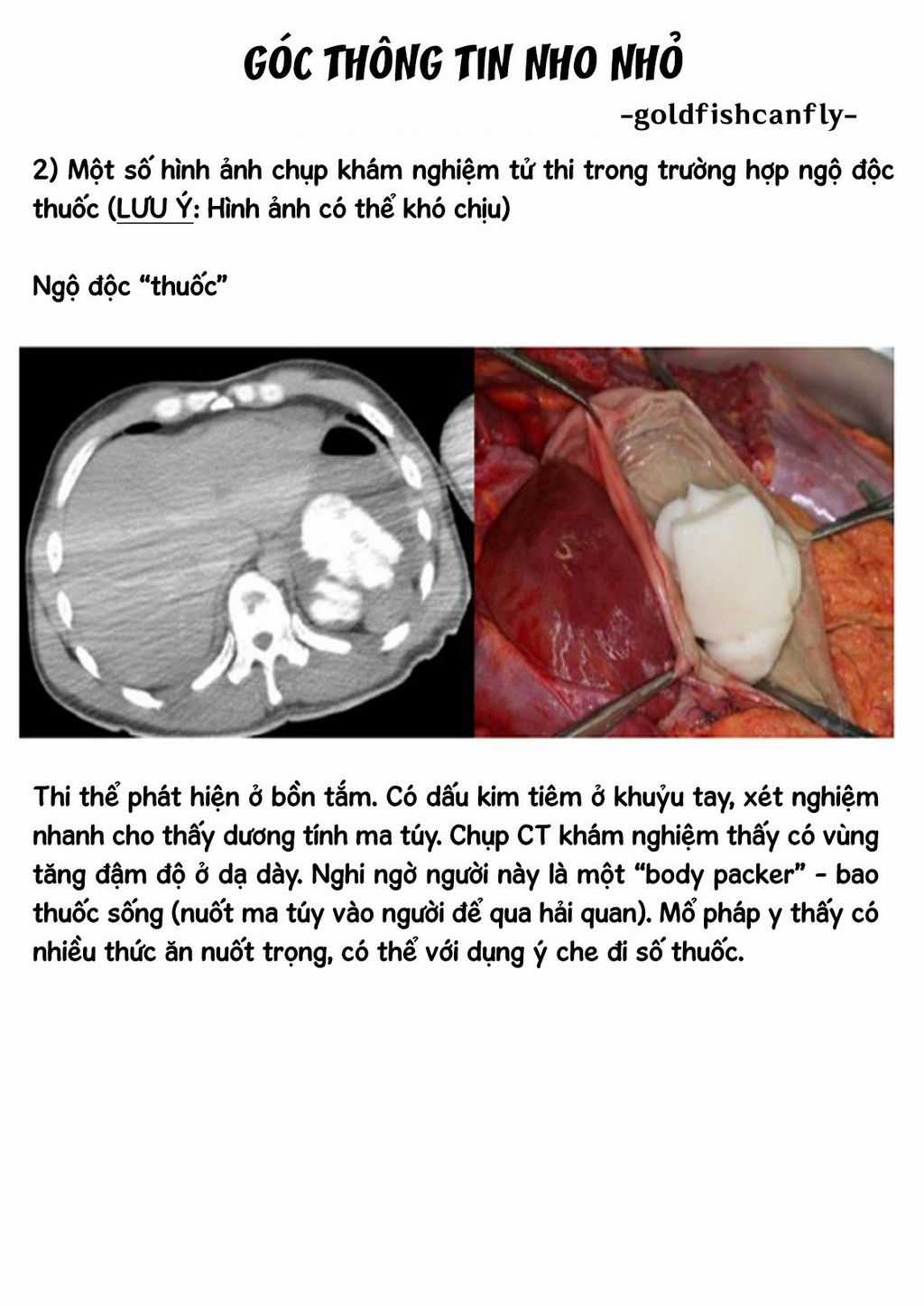 Radiation House - Chapter 104 - Trang 28
