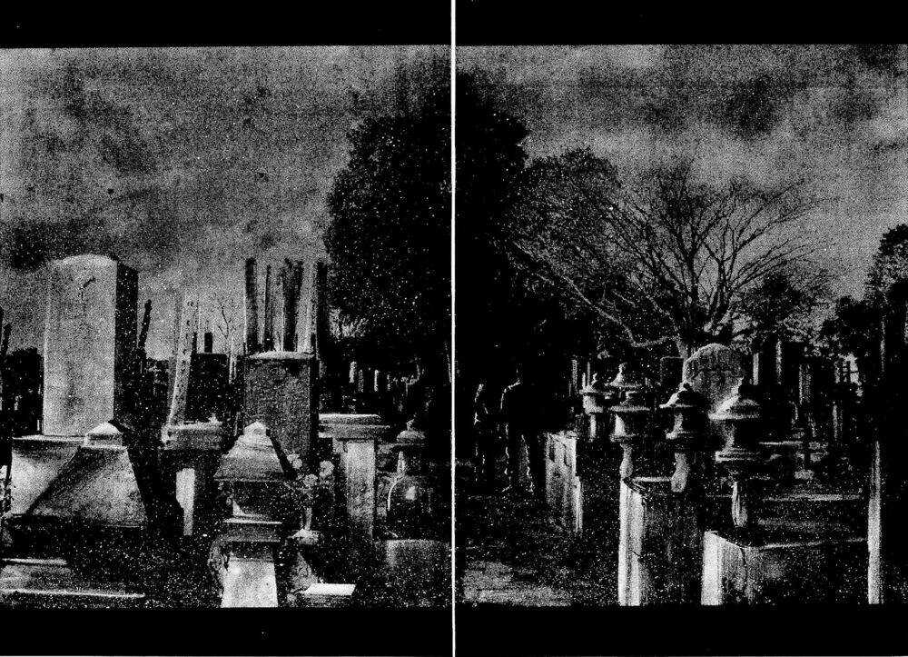 Rainbow - Chapter 225 - Trang 15