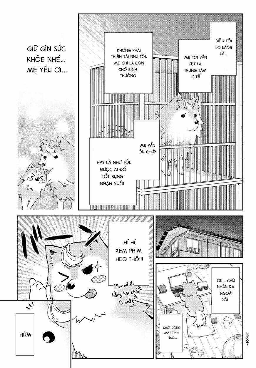 Real Account Ii - Chapter 165 - Trang 11