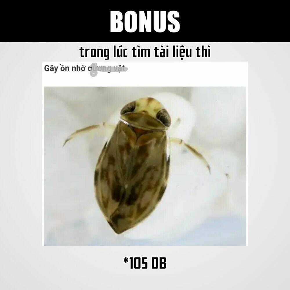 Real Account Ii - Chapter 64 - Trang 21