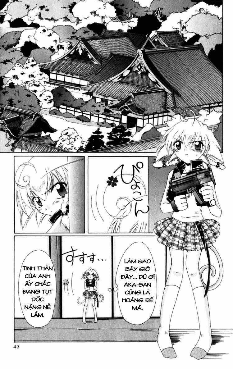 Record of Fallen Vampire - Chapter 5 - Trang 3