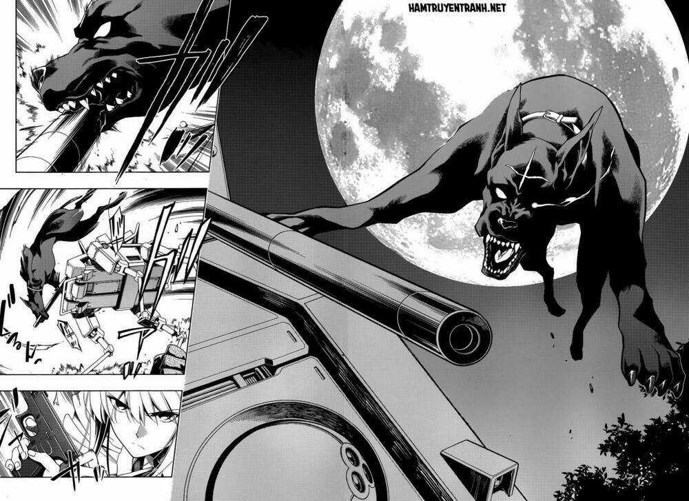 Red Data Book - Chapter 3 - Trang 13