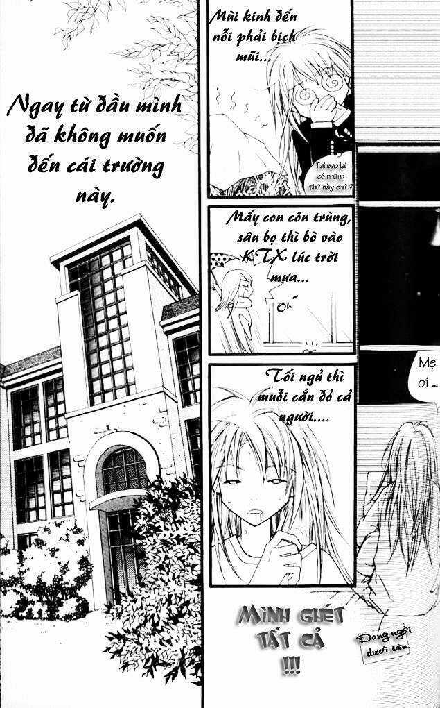 Rolling - Chapter 2 - Trang 3