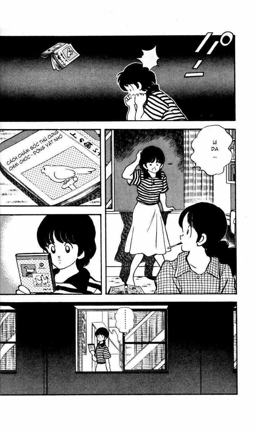 Rough - Ngọc Thô - Chapter 20 - Trang 21