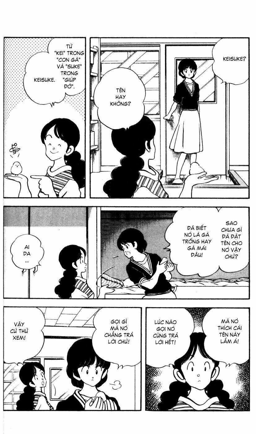 Rough - Ngọc Thô - Chapter 22 - Trang 17