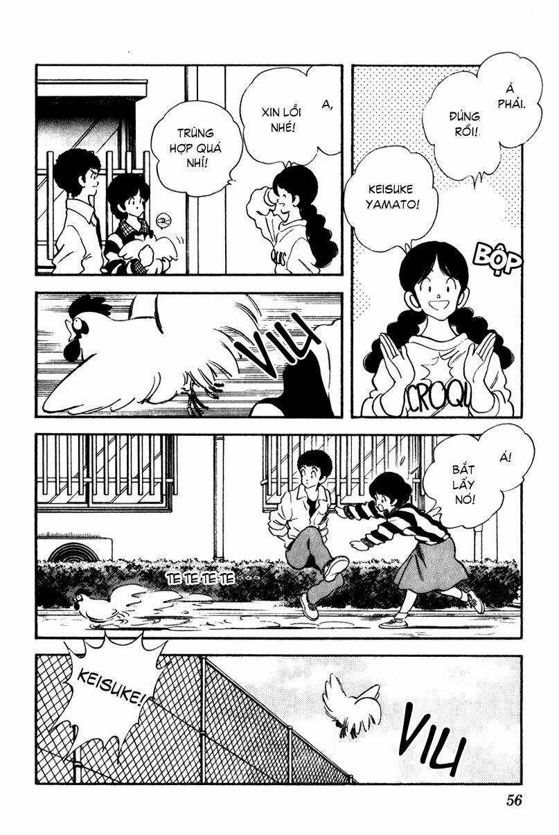 Rough - Ngọc Thô - Chapter 32 - Trang 11