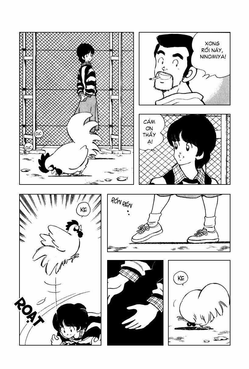 Rough - Ngọc Thô - Chapter 32 - Trang 4