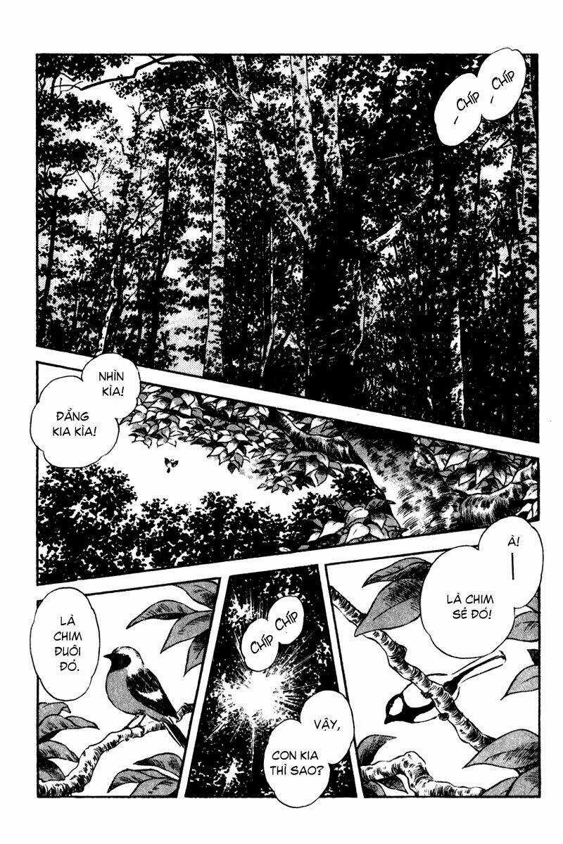 Rough - Ngọc Thô - Chapter 33 - Trang 3