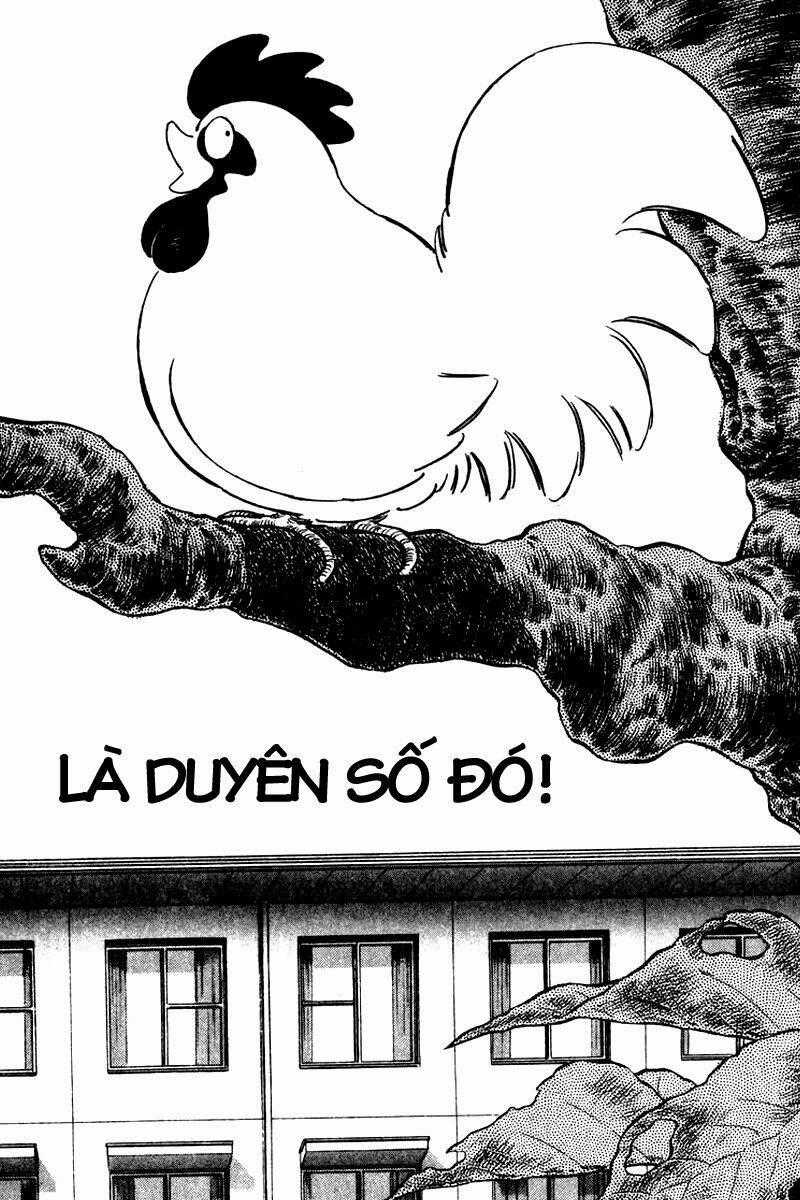 Rough - Ngọc Thô - Chapter 34 - Trang 2