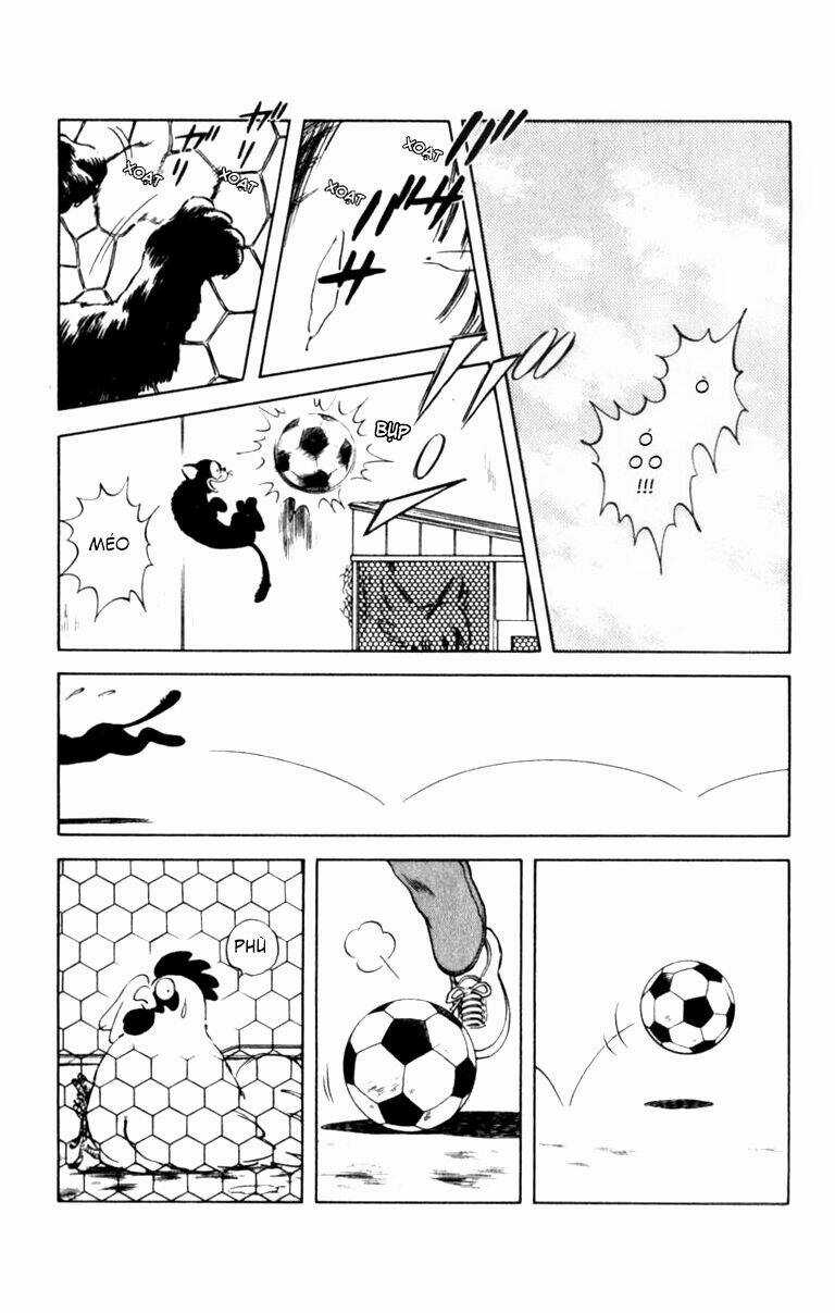 Rough - Ngọc Thô - Chapter 57 - Trang 4