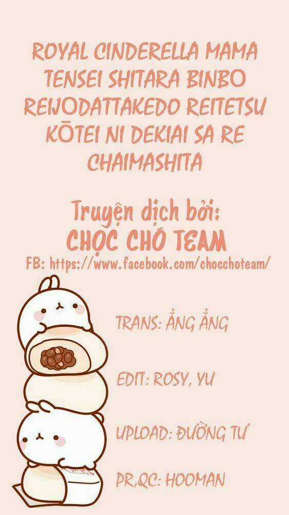 Royal Cinderella Mama - Chapter 1 - Trang 3