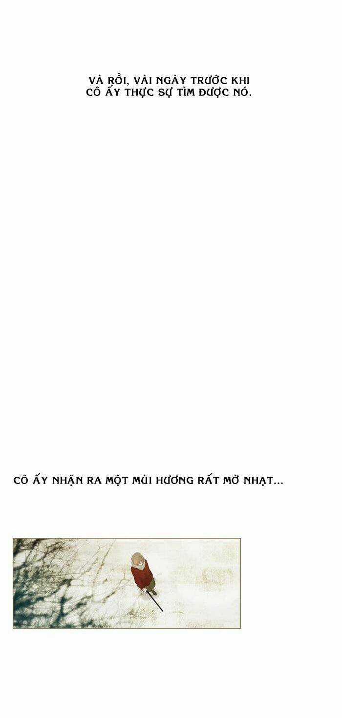 Rừng Đông - Chapter 12 - Trang 9