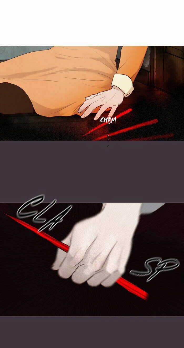 Rừng Đông - Chapter 48 - Trang 4