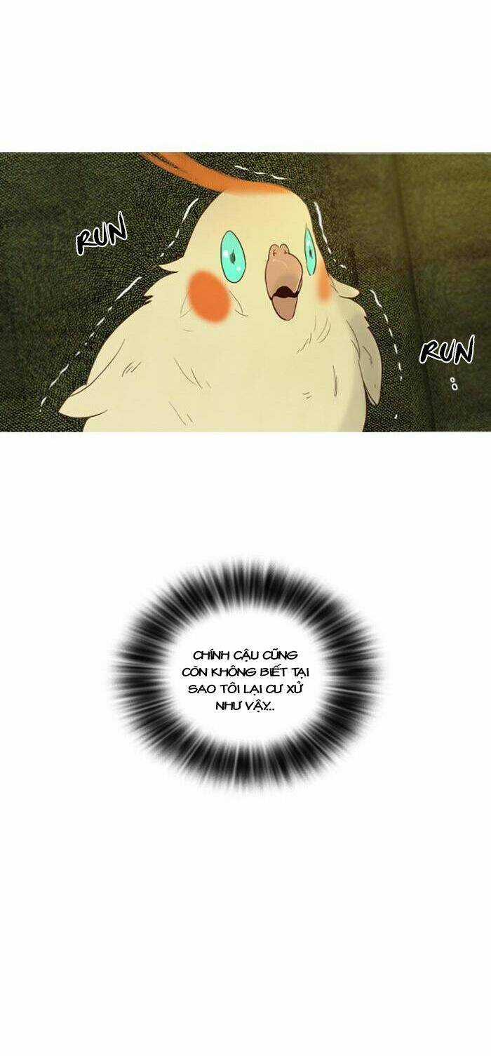 Rừng Đông - Chapter 50 - Trang 29