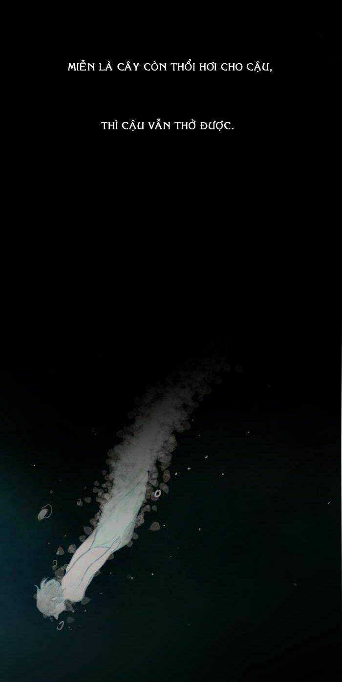 Rừng Đông - Chapter 57 - Trang 13