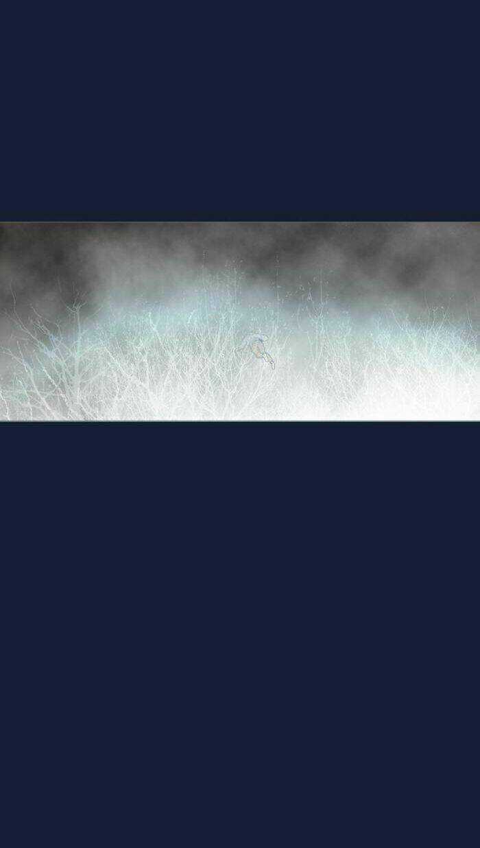 Rừng Đông - Chapter 58 - Trang 20