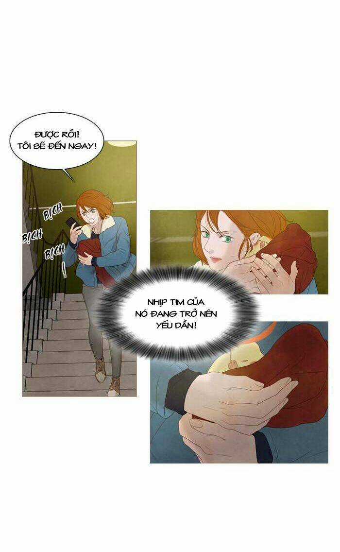 Rừng Đông - Chapter 61 - Trang 28