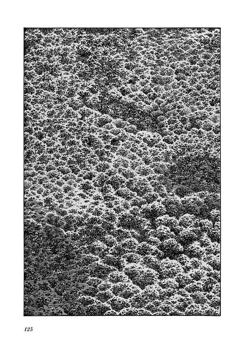 Ryuu No Michi - Chapter 5 - Trang 13