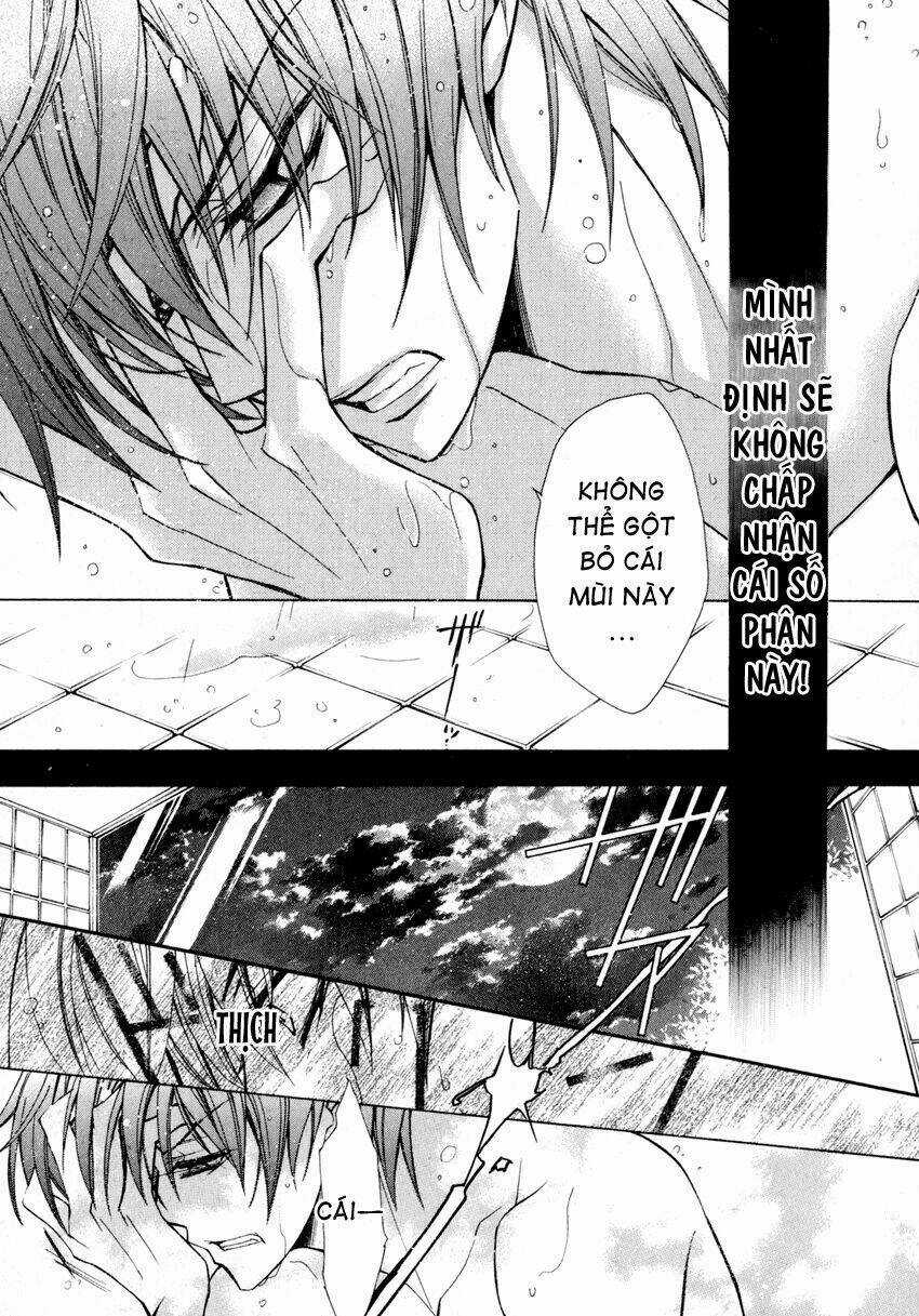 S.l.h - Chapter 8 - Trang 16