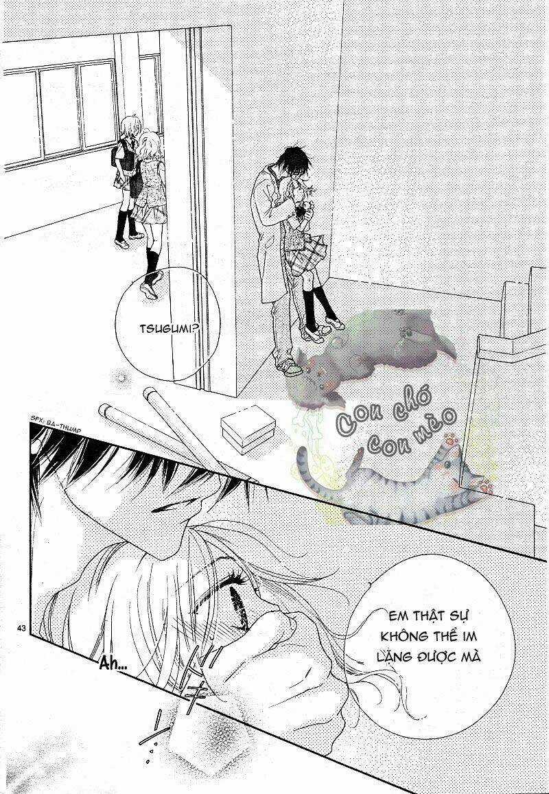 Sai x Ai - Chapter 1 - Trang 41