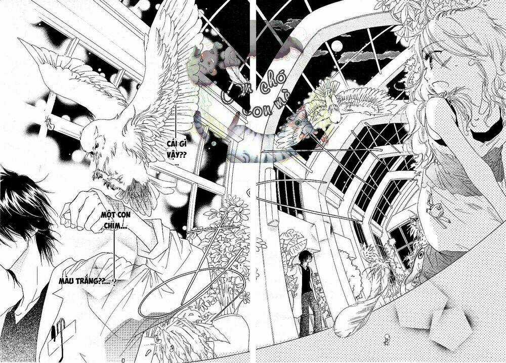 Sai x Ai - Chapter 1 - Trang 9