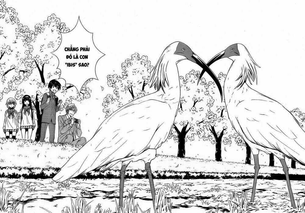 Sakura Morishige - Chapter 5 - Trang 7