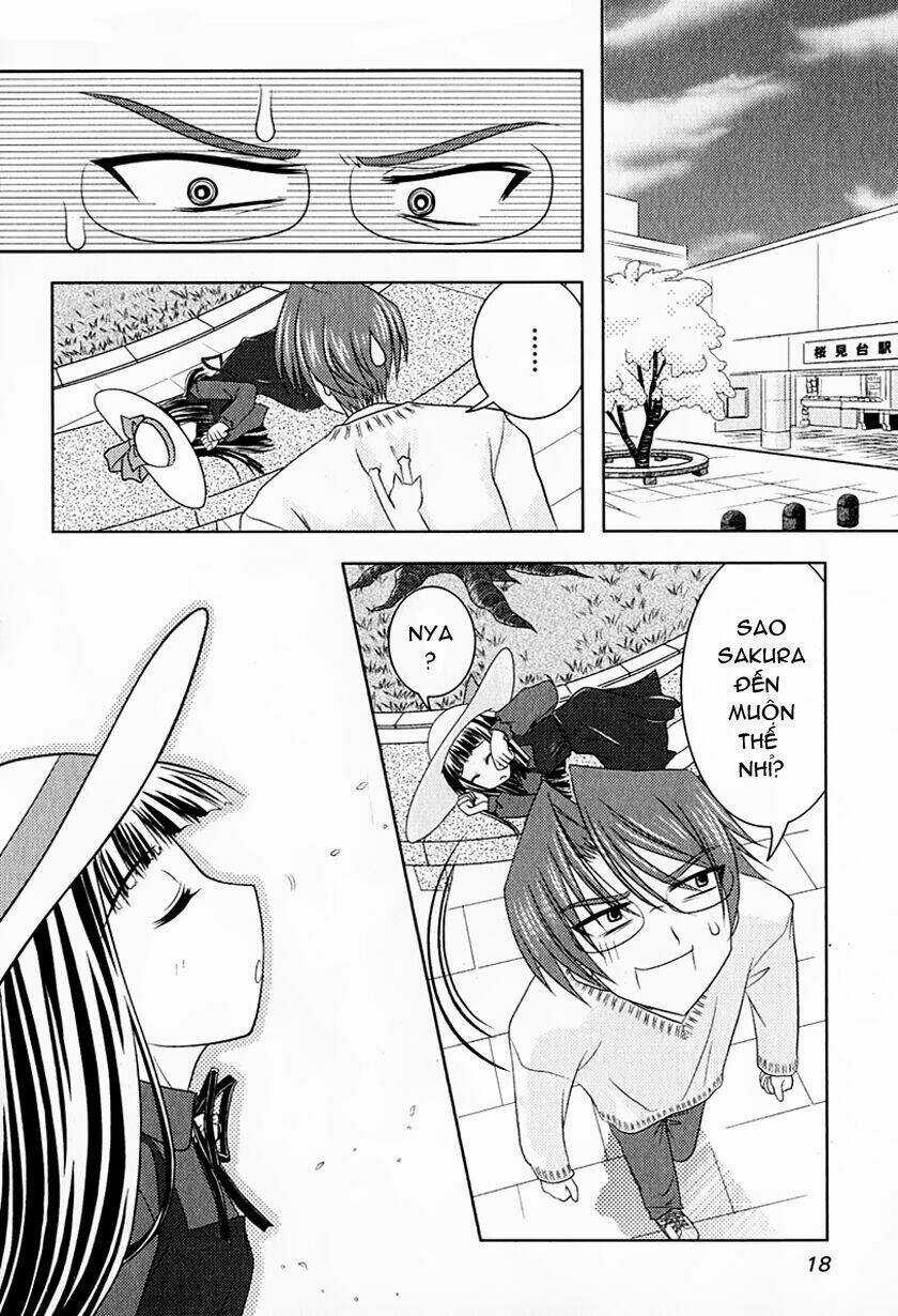 Sakura No Nekohime - Chapter 1 - Trang 19