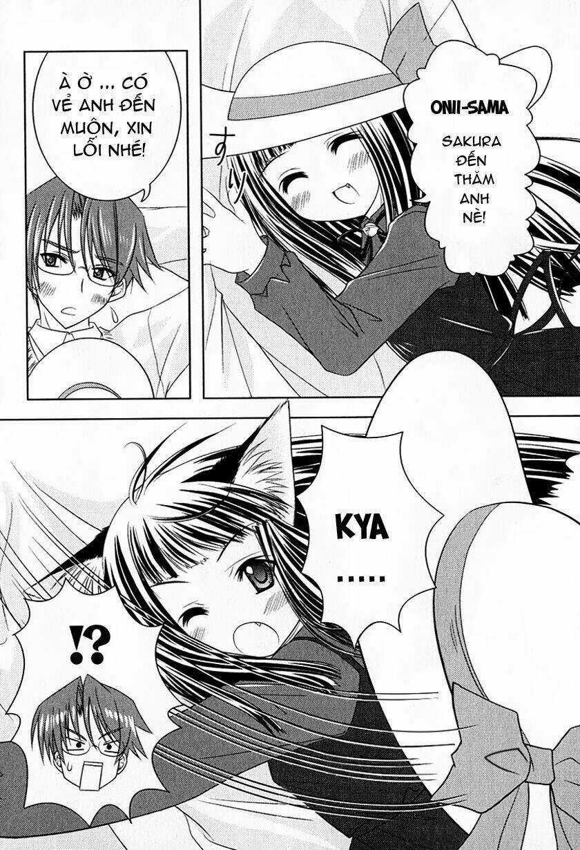 Sakura No Nekohime - Chapter 1 - Trang 21