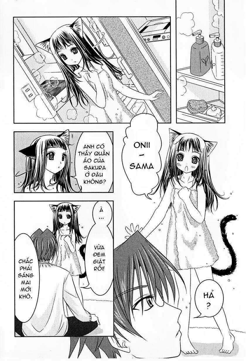Sakura No Nekohime - Chapter 1 - Trang 31