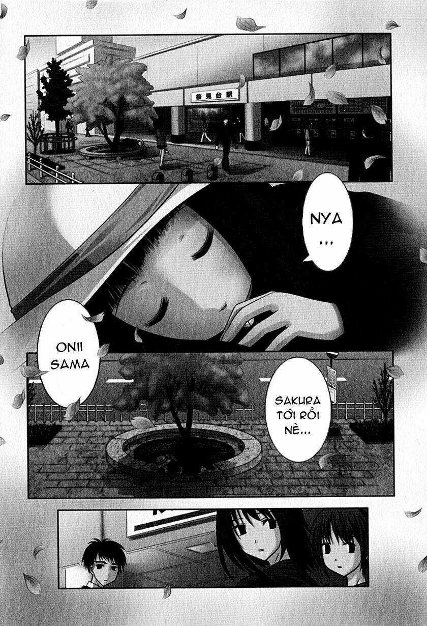 Sakura No Nekohime - Chapter 1 - Trang 5