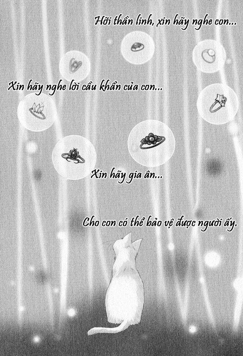 Sakura No Nekohime - Chapter 1 - Trang 7