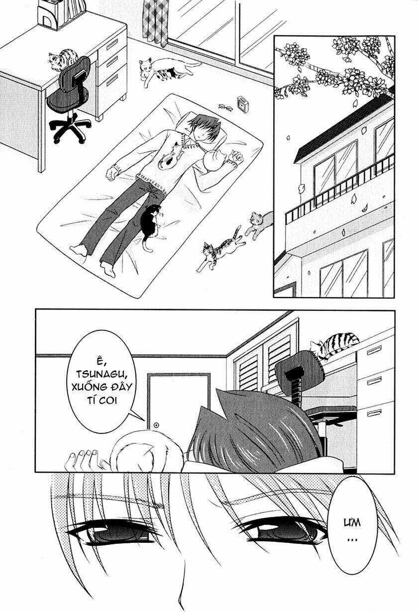 Sakura No Nekohime - Chapter 1 - Trang 8