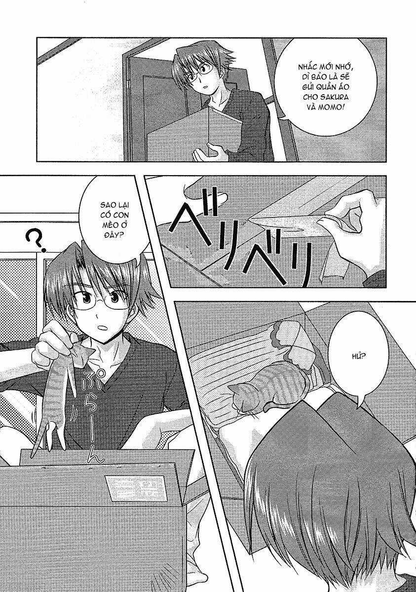 Sakura No Nekohime - Chapter 10 - Trang 3