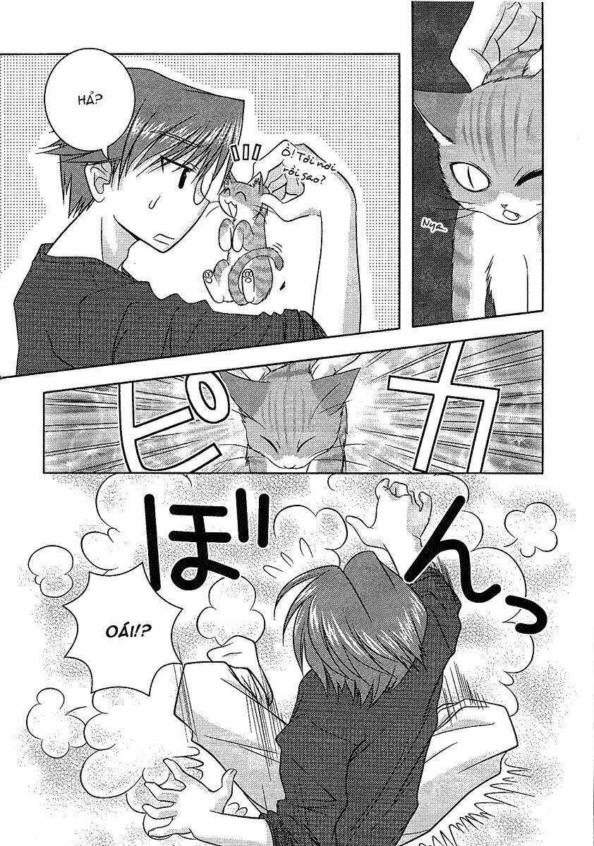 Sakura No Nekohime - Chapter 10 - Trang 4