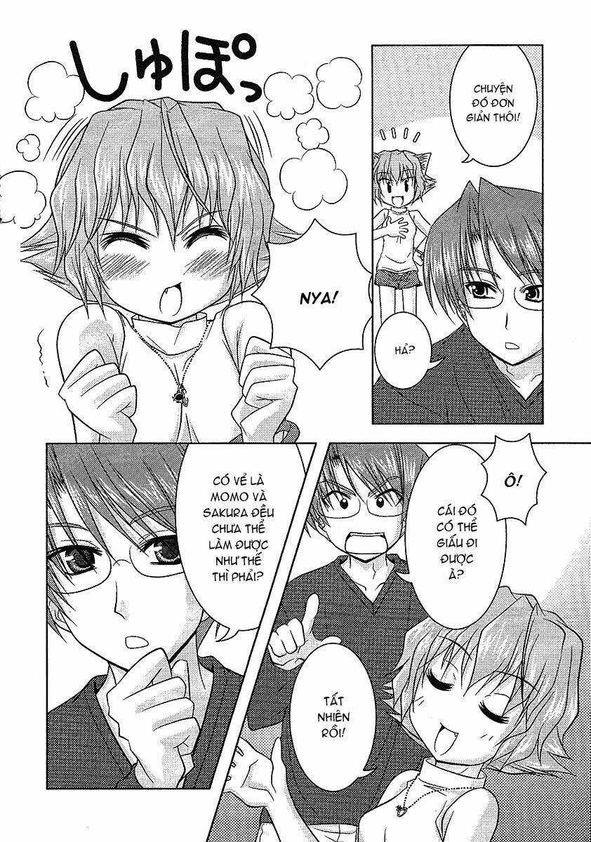 Sakura No Nekohime - Chapter 10 - Trang 8