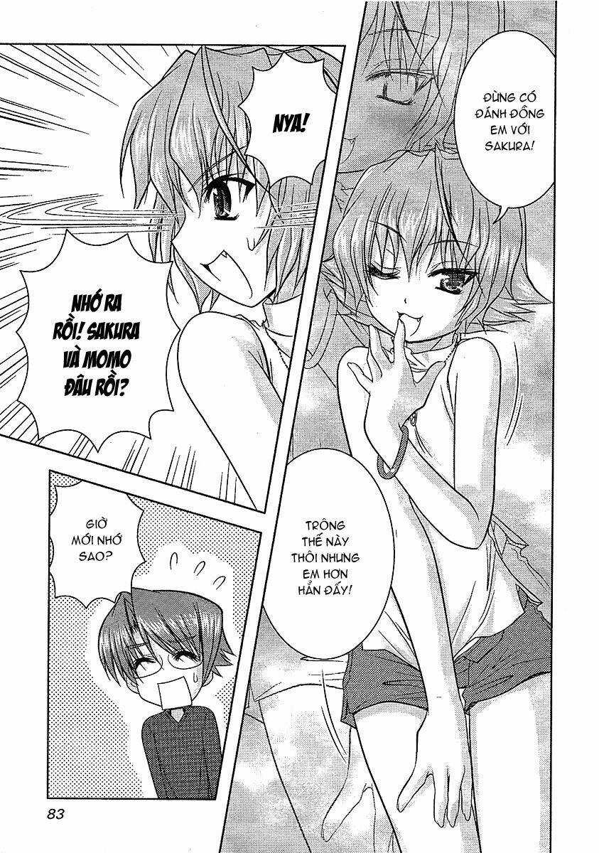 Sakura No Nekohime - Chapter 10 - Trang 9