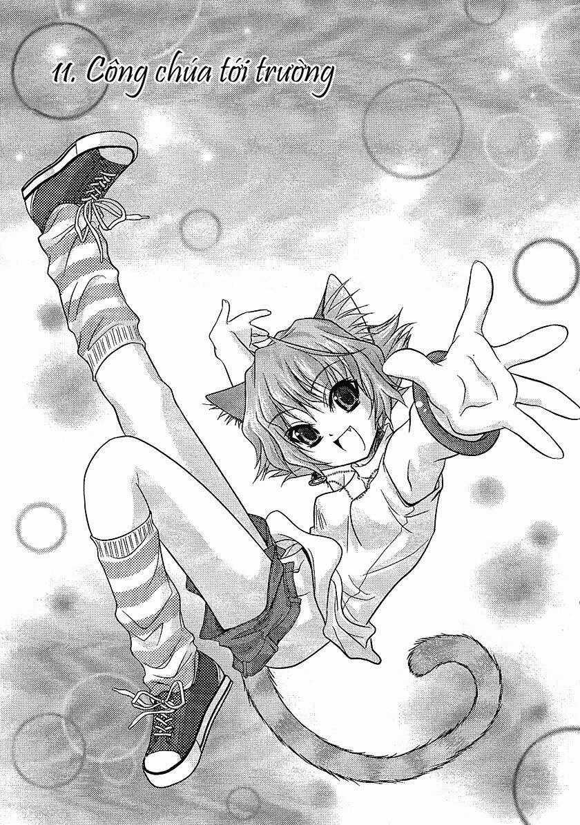 Sakura No Nekohime - Chapter 11 - Trang 1